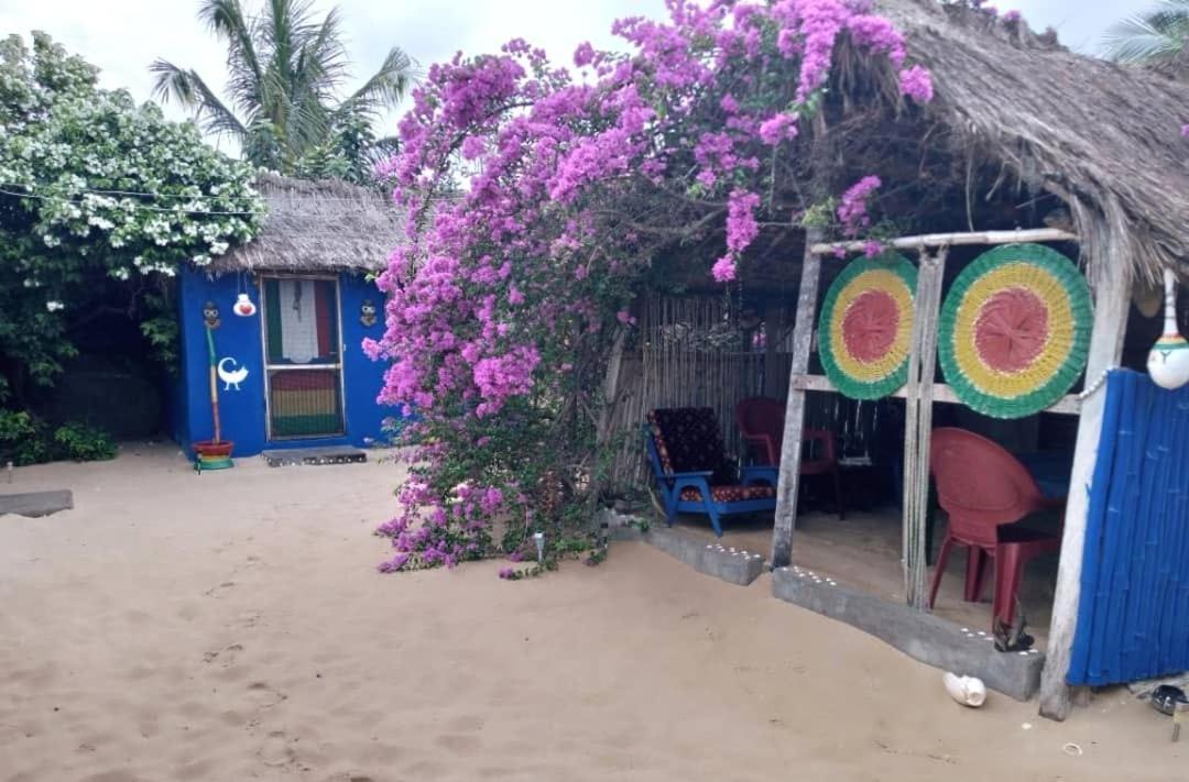 A&Y Wild Camp Ghana Keta Exterior foto