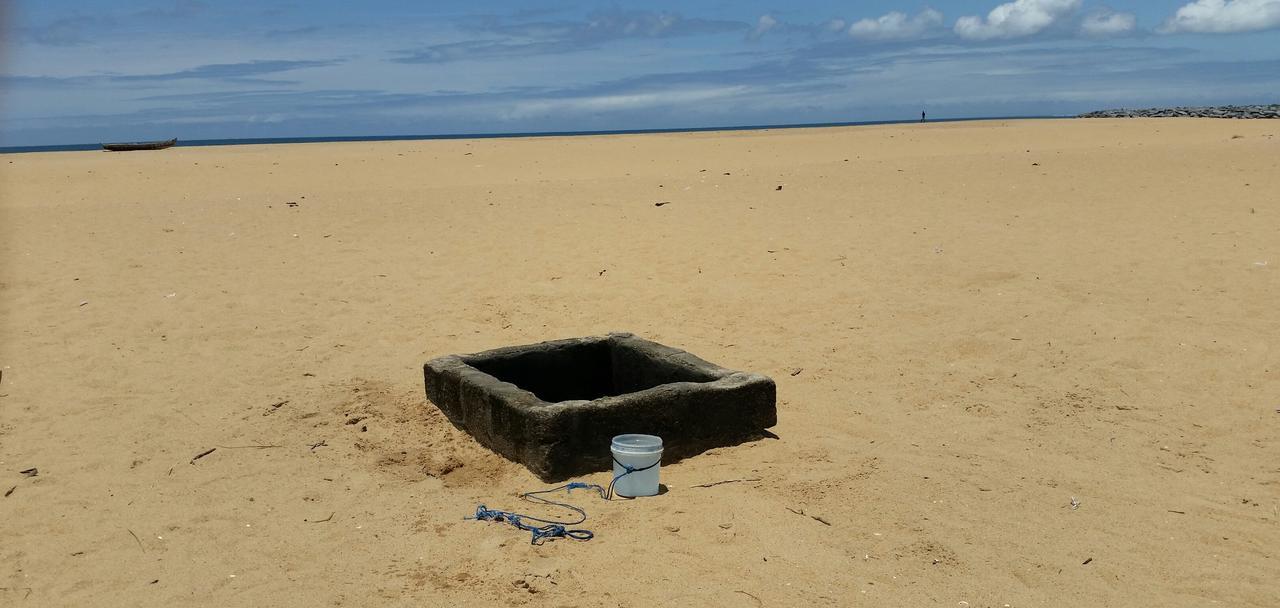 A&Y Wild Camp Ghana Keta Exterior foto